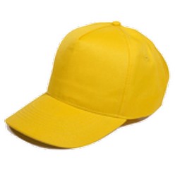 Budget 5 Panel polyester cap