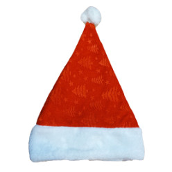 Christmas Santa Hat