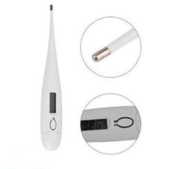 Digital Thermometer