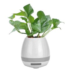 Flowerpot bluetooth speaker