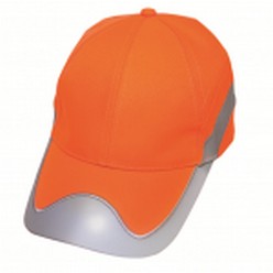 Hi Vis Two tone cap