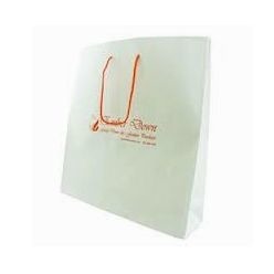 Large Paper Gift Bag