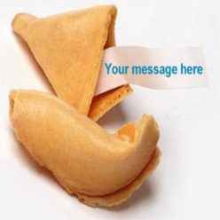 Plain Fortune Cookie